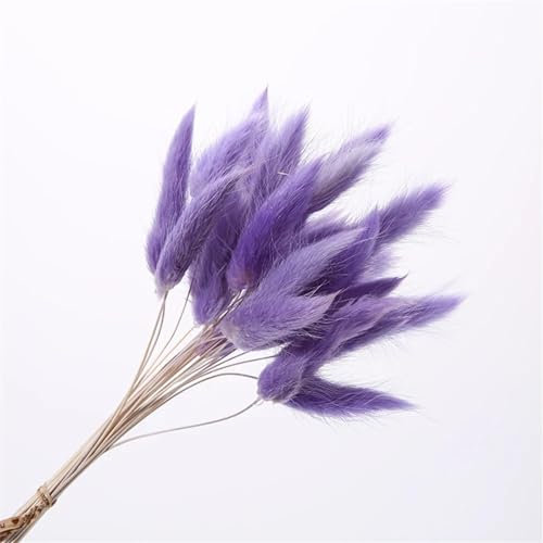 FOSANGPUSHI Bunny Tails Getrocknete Blumen,100 Stück 45 cm natürliches Hasenschwanzgras Echter Blumenstrauß Hochzeitsdekoration Pampasgras Boho Home Decor Lila
