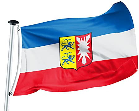FLAGLY Premium Flagge Schleswig-Holstein 100x150cm -115g/m² Stoffgewicht - gedruckt, robustes und witterungsbeständiges Glanzpolyester mit Ösen (100 x 150 cm, Schleswig-Holstein)