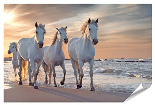 islandburner XXL Bild Poster Weiße Pferde Camargue Frankreich Herde Premium Bilder Fotodruck