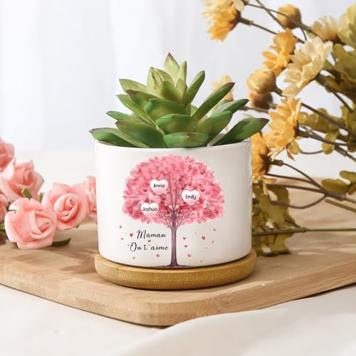 ALBERTBAND Personalisierte Blumentopf mit Gravur Geschenke für Mama Muttertagsgeschenke für Mama Beste Mama Geschenk Pflanzentopf Sukkulenten-Pflanzer Keramik (A)