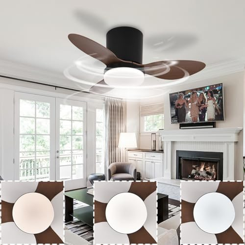 Ventilador De Techo Con Luz Silencioso Pequeño, 56CM Lampara Ventilador Techo Infantil 6 Velocidades Con Temporizador Ceiling Fan with Light and Remote Control Regulable Dormitorio Cuarto De Niños