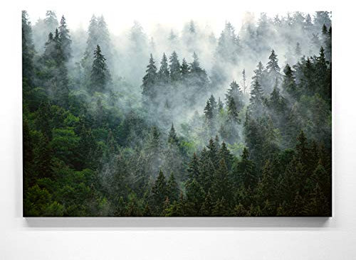 Ein Atemberaubendes Bild – Wald von oben - als 150x100cm große XXL Leinwand. Tolles Wandbild als Hintergrund und Deko für Wohnzimmer & Schlafzimmer. Fertig aufgespannt auf 4cm Holz-Keilrahmen