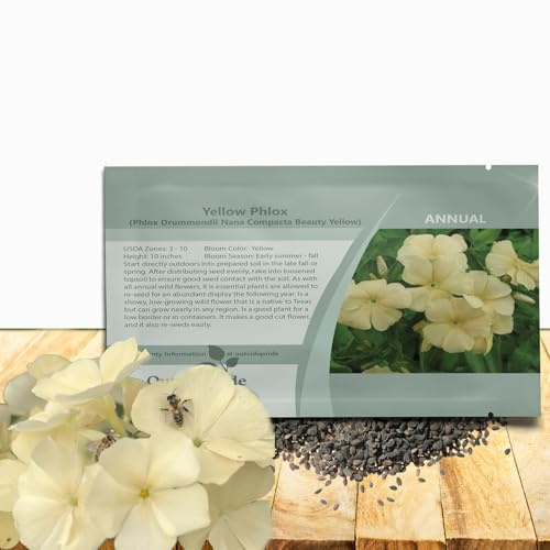 Outsidepride Yellow Phlox Seeds - 5000 Pcs Annual, Compact & Self-Seeding Flower Seeds for Planting Vibrant Yellow Blooms in Pollinator Gardens, Borders, Containers & Floral Arrangements
