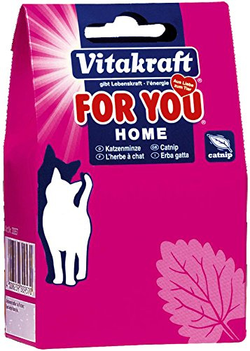 Vitakraft Catnip in Box für Katzen 20 g