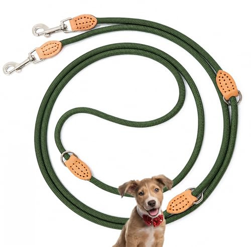 LeileiPaws Verstellbare Multifunktions-Hundeleine 2m&3m aus Nylon&Leder – Führleine, Umhängeleine & Hüftleine für kleine, mittelgroße & große Hunde – Robuste Leine (Olivgrün, 3m x 0.8cm)