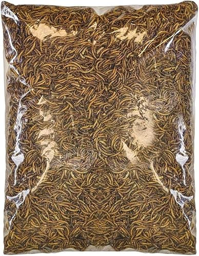 SQUAWK Getrocknete Mehlwürmer - Premium Qualität Wildvogelfutter Garten Snacks für Vögel (5kg)