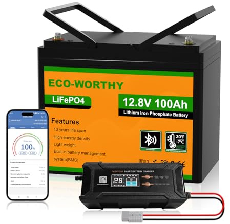 ECO-WORTHY 12V 100Ah LiFePO4 Bluetooth mit 12/24V 20A Ladegeräte,Lithiumbatterie 12V 100AH mit BMS Low Temperature Schutz für Wohnmobil,Boot,Wohnwagen