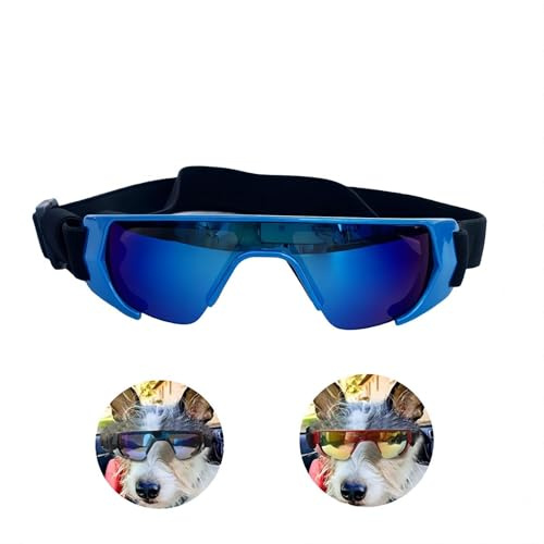 KAYNO Hundsolglasögon, hundsolglasögon små raser UV-skydd, PC vindtäta och dammtäta hundglasögon, coola solglasögon för teddy, katter och mer.