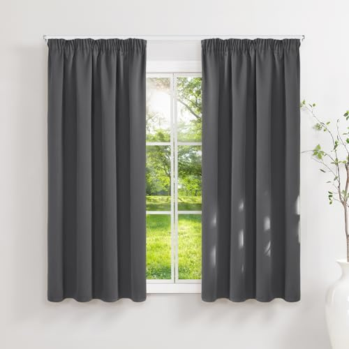Runyéla Rideau Occultant Thermiques Isolant 140x160(LxH) Lot de 2 avec Galon Fronceur Anti Froid et Chaleur, Rideaux Opaque Anti UV Décoration Intérieure Chambre Salon Gris Foncé