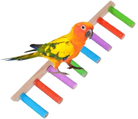 Fågelstege – klätterleksak i trä, kraftig stege för fåglar, multifunktionell klo slipningstillbehör för parakiter Conures lovebirds | interaktiv lekstege för burburburburburburburburburburbur