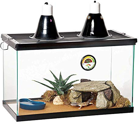 Zilla 10 Gallon Pet Reptile Starter Habitat Kit with Light and Heat for Small Desert Dwelling Animals