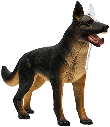 UIGJIOG 4D Vision-Hund Anatomie Modell, Wolf-Hund Skeleton Anatomy Versammlungs-Modell, 29 Stück abnehmbare Organe Körperteile für Medizinisches Training Montage Spielzeug