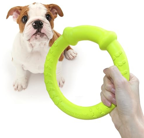 LaRoo Hundfrisbee-leksaker, flytande flygande hundskivleksaker, sommardjursträning utomhus hållbara tuggleksaker för små och medelstora hundar. (Grön 18 cm/7 tum)