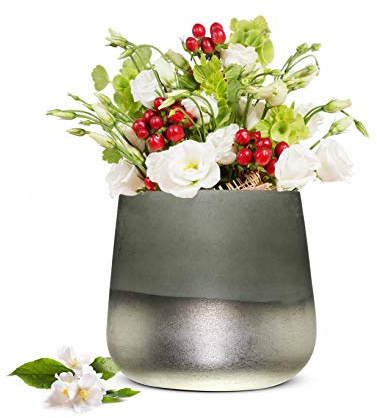 Sendez Blumenvase Barbara Tischvase Glasvase Dekovase Vase Blumentopf Pflanztopf (Grau)
