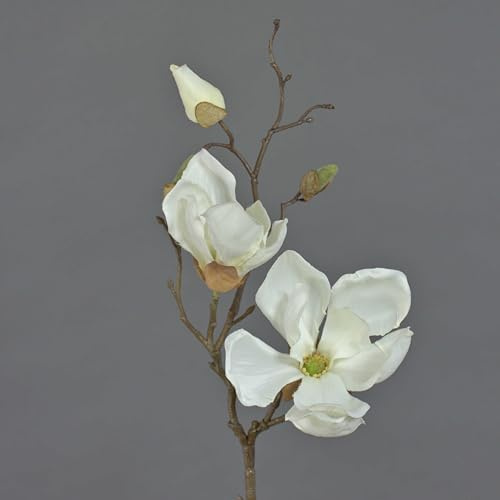 artplants.de Deko Zweig Magnolien Zweig MALBINE, 2 Blüten, Creme, 50cm - Deko Zweig - Kunstzweig