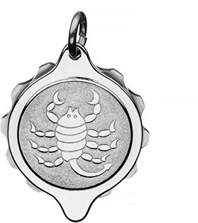 SOS Talisman Anhänger Edelstahl, Sternzeichen Skorpion, Notfallkapsel für wichtige medizinische Informationen