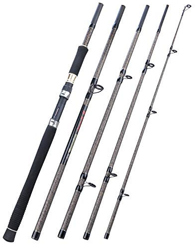 Sougayilang Karpfenrute aus Kohlefaser, 3 m, 5 Abschnitte, mit komfortablem Griff aus Eva, für Salzwasser oder Süßwasser – 5HD
