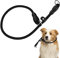 TIESOME Slip Collar Dog Training Choke Collar, Round Nylon Rope Collar No Pull P-Collar for Small Medium Large Dogs (Black S)
