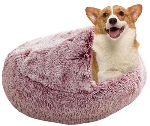 Duroecsain Lit pour Chat à Capuche, lit Couvert pour Animal de Compagnie | Nid de Coquille créatif pour Chiot,Petit chenil d'intérieur pour Chien, lit Couvert pour Chat, chenil Confortable pour Chien
