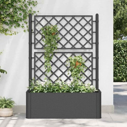 Genérico Arriate con Enrejado y Sistema de riego automático Antracita,Casa y jardín,Jardín,Jardinería,Maceteros y jardineras-313969