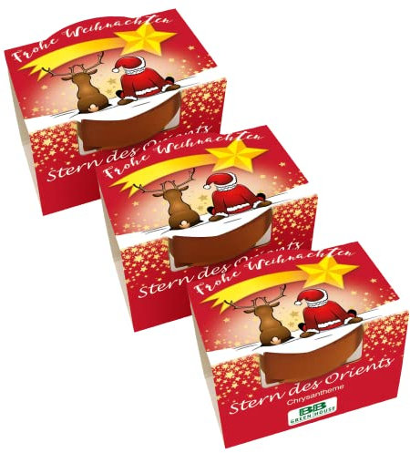 Bull & Bear 3er Set Mini Pflanzset 'Frohe Weihnachten' mit Samen für Stern des Orients im Topf 4,5cm, Chrysantheme Anzuchtset mit Pflegeanleitung
