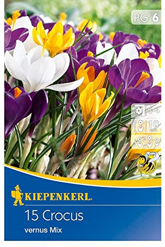 Crocus Großblumiger Mix, 15 Stück Blumenzwiebeln