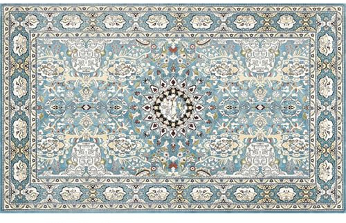 CXTAI Vintage Boho Small Area Rug for Living Room Bedroom Entryway 90x150cm (3x5ft) Non-Slip Machine Washable Short Pile Rugs - Peacock Green/Blue Style