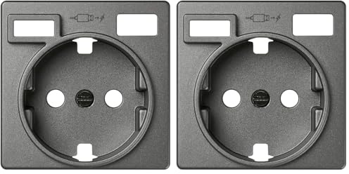 SIMON - Tapa Base de Enchufe Schuko, Serie 82 Concept, 2 USB C+A, Compatible con las Series 75, 31, 82 y 88, Efecto Mate Antihuellas, Color Titanio (Paquete de 2)
