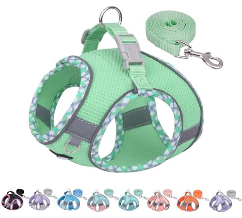 AIITLE Hundegeschirr No Choke Over, einstellbares Hundegeschirr mit Leine, atmungsaktivem Mesh und Schnellverschluss - Outdoor Walking, Training für mittlere Hunde Salbei L