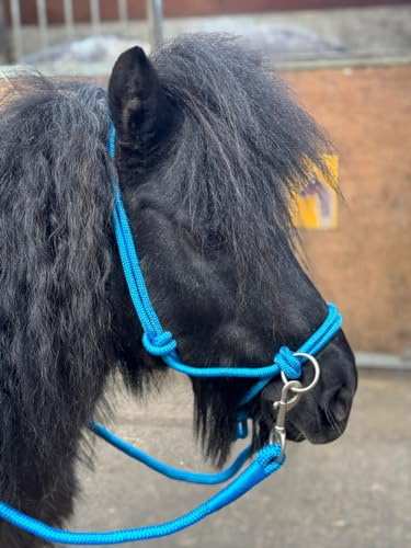 Equipride Seilhalfter mit Zügeln für gebissloses Reiten Full bis Mini Shet 5 Farben (Sky, Cob)