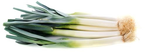 Graines Poireau Géant d'Hiver - Sachet de 4 grammes - Graines de style