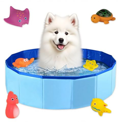 CHSEROK Katzenpool, 50 × 10cm Hundepool Klein, Faltbar Pool für Hunde, mit Wasserspielzeug, Blau Planschbecken für Katzen, für Baden von Kleinen Hunden und Katzen