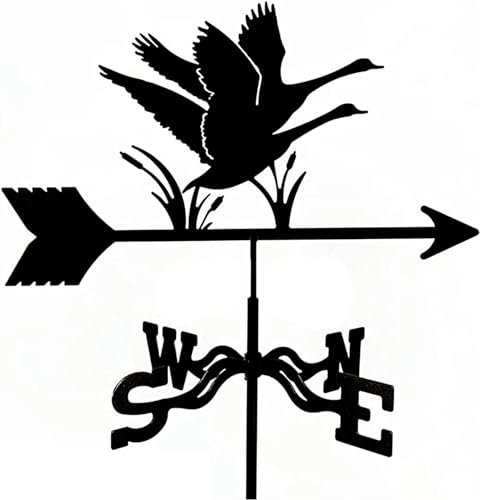 MWAYOYTE Girouette, girouette en métal, girouette d'extérieur en Acier Inoxydable, indicateur de Direction du Vent, girouette avec Support de Montage