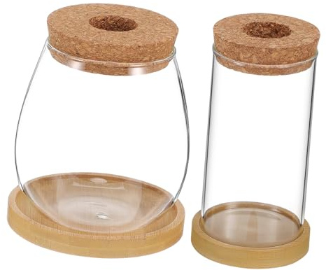 Gogogmee 2 pièces Vase Hydroponie Verre Borosilicate avec Plateau Tube Propagation pour Plantes Dintérieur Terrarium Élégant pour Bouturage et Culture sans Terre