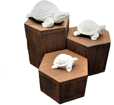 Andys Steinwelt Rohlinge Schildkröten in 3 Größen von ca. 4 cm / 5,5 cm und 8 cm aus hochwertiger Gießmasse, Gipsfigur zum anmalen, Kindergeburtstag, Unterhaltung (3er- Set Schildkröten)