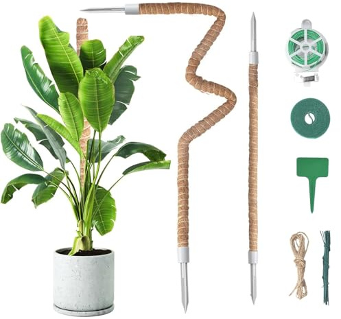 COEWUR Moss Pole for Monstera, 2 Pack 60cm/110cm Bendable Plant Stakes Moss Poles for Potted Indoor Climbing Plants, Coco Coir Pole Plant Sticks Support for Creeper Plants Grow Upwards