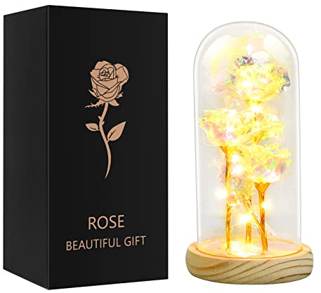 Qtuie Rose Flower Gifts for Women Birthday Gifts For Mum Forever Rose Present for Her Wife Grandma Girlfriend Eternal Roses in A Glass Dome Christmas Valentine's Mother's Day (Silver)