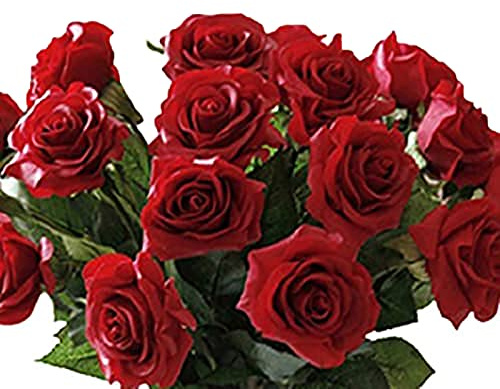 Brussels08 Künstliche Latex-Rosen, künstliche Blumen mit Stielen, Hochzeit, Party, Tisch, Blumenstrauß, Rot, 10 Stück