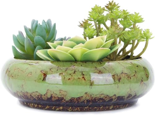 GYJZZW Macetas redondas grandes de cerámica esmaltada para suculentas de 7.3 pulgadas con agujero de drenaje, macetas de bonsái decorativas para jardín, soporte de cactus (verde)