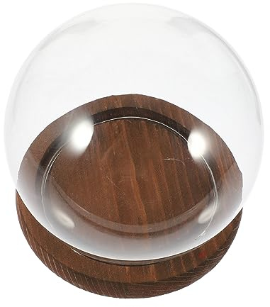 Alipis Mini Cloche en Verre pour Décoration de Table
