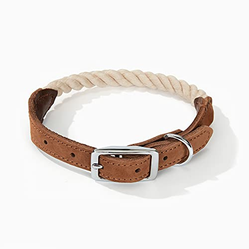 Mile High Life Premium Baumwollseil Hundehalsband aus echtem Leder Edelstahl Schnallenring (M, Beige)