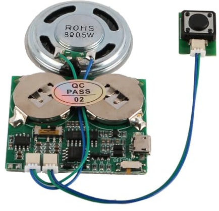 Tiardey DIY Musikmodul USB-Download Grußkarte MP3-Songs Aufnahmeboard Geburtstagsgeschenkbox Karte personalisierte Soundnachricht