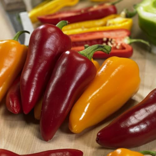 Pepper (Sweet) Pillar Sweet Trio F1 - Compact Mini Peppers for Windowsills, Patios, and Greenhouses - Drought-Resistant - Ideal for Fresh Culinary Delights - 1x Seed Packets by Thompson& Morgan
