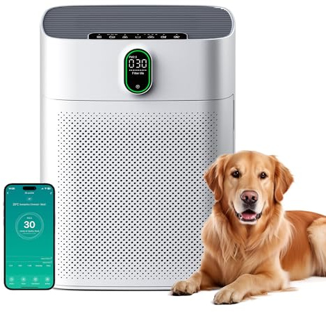 MERONTE Luftreiniger für Raucherräume, Allergikerfreundlich, HEPA Filter Gegen Staub Pollen, CADR 300 m³/h für 100 m², 24 dB Leise, Timer, Luftqualitäts-Feedback & Automodus, Matweiß, 1 Pack + 3 Modi