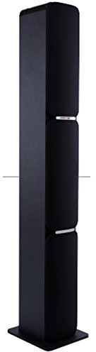 Swiss-Pro Geminis SWI303244 - Altoparlante portatile USB/FM, 80 W, in legno, colore: nero