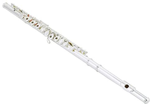 TSTS 16 Klappen Offene Löcher Flöte Neusilberbeschichteter Kopfkörper Und Mechaniken E-Mechanik Ringklappen Offset G Holzbläser Einsteiger Querflöten