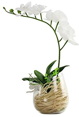 KWMAEEUID Fiore Artificiale in Vaso Set di Fiori Artificiali, Orchidea Bianca in Seta Artificiale con Vaso di Vetro, pianta in Vaso di phalaenopsis in plastica, per la casa (z Small) (Z Lar