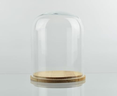 Campana media in vetro con base naturale, 22 x 18 cm