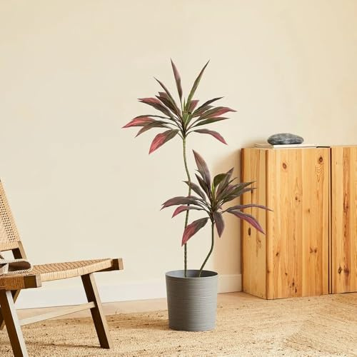 BLAINE - Planta Artificial Dracena Roja 180 cm | Aspecto Hiperrealista para Decoración de Habitación, Interiores y Oficinas Que No Necesita Mantenimiento