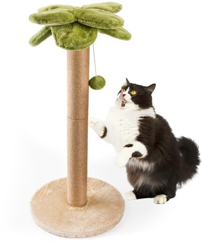 LIFLIX Palme Kratzstamm für Katzen, 86cm Kratzsäule mit Hängendem Ball, Sisalseil Kratzbaum für Katzen und Kätzchen